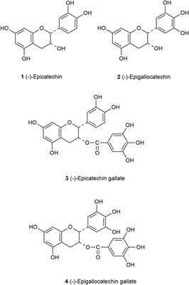Frontiers | Catechins: Protective mechanism of antioxidant stress 